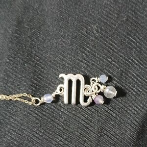 Sterling silver Scorpio pendant necklace